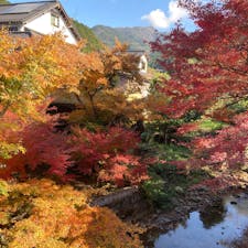 20231126
福岡　秋月

桜もいいけど紅葉も綺麗
日曜ということもあって
人人人でした