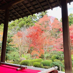 滋賀　金剛輪寺
湖東三山の一つ

名勝庭園
千躰地蔵
地蔵堂
本堂