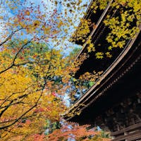 滋賀　金剛輪寺
湖東三山の一つ　　

三重塔
まわりの紅葉が絶景