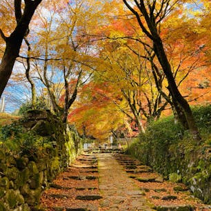滋賀　百済寺
湖東三山の一つ

紅葉のトンネル表参道