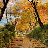 滋賀　百済寺
湖東三山の一つ

紅葉のトンネル表参道