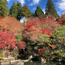 滋賀　百済寺
湖東三山の一つ

天下遠望の名園
と呼ばれている