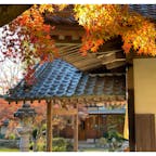 茨城県・桜川市の紅葉スポット「薬王寺」へ✨

境内にはたくさんのモミジやカエデなどがあり、秋になると色づいて境内を紅く染めます🍁

近年注目されつつある紅葉の名所なので、ぜひ訪れてみて下さいね☺️