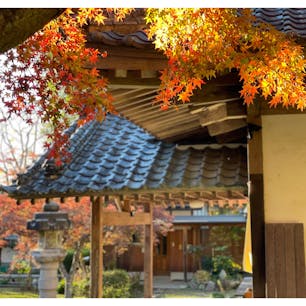 茨城県・桜川市の紅葉スポット「薬王寺」へ✨

境内にはたくさんのモミジやカエデなどがあり、秋になると色づいて境内を紅く染めます🍁

近年注目されつつある紅葉の名所なので、ぜひ訪れてみて下さいね☺️