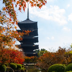 東寺に行きました。
秋の特別拝観で初めて五重の塔の中に入ることができ、中央に四方に配された仏像が素晴らしかったです。

東側＝阿閦如来（あしゅくにょらい）
南側＝宝生如来（ほうしょうにょらい）
西側＝阿弥陀如来（あみだにょらい）
北側＝不空成就如来（ふくうじょうじゅにょらい）

だそうです。

#東寺　#京都　#五重塔