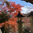 奈良県桜井市　長谷寺

紅葉の時期によく行く長谷寺へ。少し見頃を過ぎている場所もありましたが、まだ楽しめました。本堂の前に張り出す舞台からの景色が良く、心が落ち着きます。門前町で草餅を食べて帰りました。