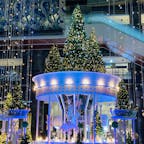 大阪　グランフロント大阪
クリスマスツリー

音楽とともに
光の色が変わって
とても綺麗