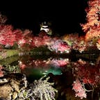 京都市
永観堂ライトアップ
圧巻でした。