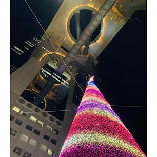 大阪　梅田スカイビル

スカイビルとクリスマスツリー

いよいよクリスマスですね