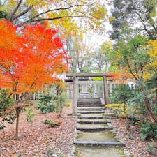 薩摩藩士東征戦亡之碑

東福寺塔頭の即宗院の奥にあり、
西郷隆盛が建立した碑。
2023.12.3