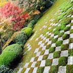 東福寺　本坊(方丈)庭園

東西南北に異なる模様の庭があります。
綺麗な市松模様が印象的でした。
2023.12.3