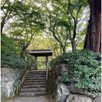 静岡県/MOA美術館

「茶の庭」

紅葉にはまだ早かったですが、とても美しいお庭でした。

#puku2'22
#puku2"11
#puku2伊東から関東地方を巡る旅'22.11
#puku2美術館
#puku2静岡
#静岡#MOA美術館#美術館