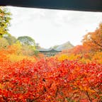 東福寺

臥雲橋〜日下門の景色。
素晴らしかった。
2023.12.3