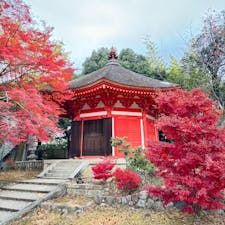 東福寺

通天橋拝観②
凄い綺麗✖️2
2023.12.3
