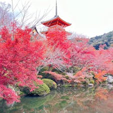 清水寺

さすが人気の観光地、人が凄い。
でも景観もさすがでした。
2023.12.3