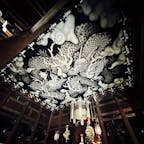 京都市
建仁寺
こちらは、写真撮影が可能でしたので、来年の干支にちなんで訪問してみました^_^