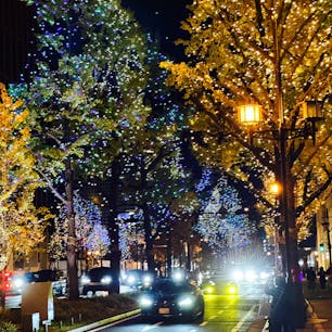 大阪御堂筋
クリスマスイルミネーションが
綺麗です。
#御堂筋
#イルミネーション　#クリスマス