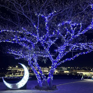 埼玉  本庄市マリーゴールドの丘のイルミネーションをみてきました