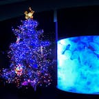 新潟市水族館マリンピア日本海。
館内ではクリスマス気分を28日まで楽しめます。




#新潟市水族館マリンピア日本海