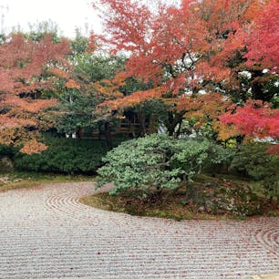 京都府/圓徳院

豊臣秀吉の妻、北政所ねねが晩年の19年間を過ごした地に建つ圓徳院。ねねが秀吉との思い出の多い伏見城の化粧御殿とその前庭を移築し、ここから秀吉の菩提寺として建立した高台寺に通ったとのこと。
ねねが亡くなった後に高台寺の塔頭寺院「圓徳院」となったそうです。

最後の写真は寺院の中に作られたトイレ🚽
あまりにも綺麗で清潔感があったので、嬉しくなって記念に📸


#puku2'23
#puku2"12
#puku2そうだ!京都へ行こうの旅'23 
#京都#圓徳院#神社仏閣#紅葉