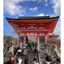 京都府/音羽山　清水寺

ン十年ぶり⁈に訪れた清水寺でしたが、こんなにゆっくりとしたことはなかったので、初めて知ったことがいくつかありました。

その一つが「音羽の滝」
まさか、あれが滝とは…😳
記憶にも全く無く、すごい列になっていたので今回は写真のみ。（8枚目）

最後の写真は清水寺で出会ったラプンツェルさん💕

#puku2'23
#puku2"12
#puku2そうだ!京都へ行こうの旅'23 
#京都#神社仏閣#清水寺#紅葉