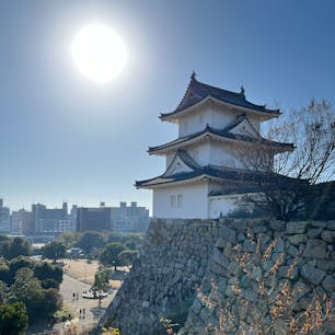 明石城

明石公園の中にある、国の重要文化財。
巽櫓、坤櫓という三重櫓が見れます。
2023.12.10