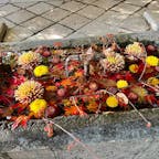 東北の伊勢とも言われる山形の熊野大社。

「むすひ」の神様と言われ、ご縁に恵まれるパワスポです。

参拝した日は、「秋の風花」のかざぐるまが飾られていました。
これは12月20日までの予定です。




#山形　#熊野大社