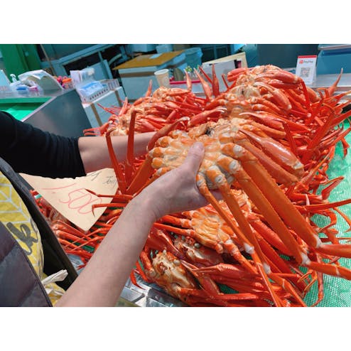 金沢港いきいき魚市