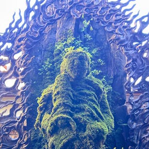 大阪　道頓堀
法善寺

水かけ不動さん