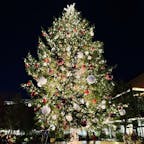 東京都にある立川駅周辺のイルミネーション。
クリスマスツリーもとても美しく輝いていました。
もうすぐ、クリスマス。

#立川
#クリスマス
#クリスマスツリー
#イルミネーション
#christmas