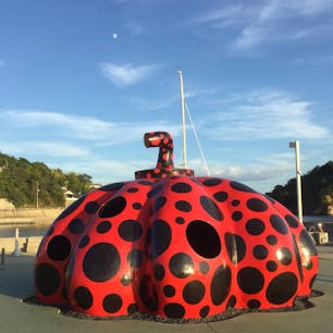 香川　直島

赤かぼちゃ
中に入れちゃいます