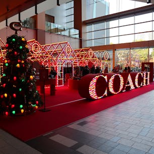 東京ミッドタウン / Tokyo

東京ミッドタウンでは「COACH ホリデー 2023」ポップアップストアを開催中！COACHオリジナルのクリスマスオーナメントが飾られたクリスマスツリーは必見！屋外では、「コーチ ミッドタウン アイスリンク」も設置されていています。

#tokyo #tokyosightseeing #tokyomidtown #bluemoon