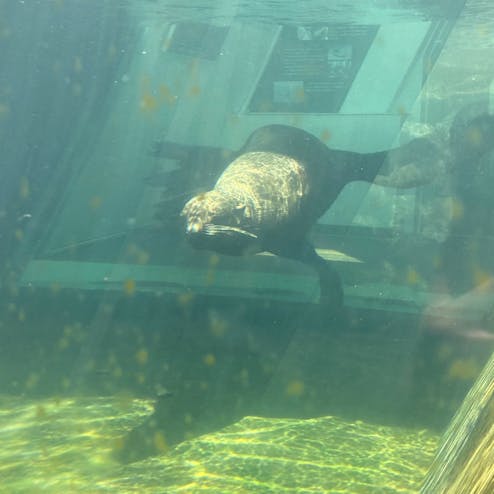 アクアマリンふくしま