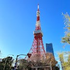 東京の元祖シンボル・東京タワー。120メートルの展望台はもちろん、220メートルの展望台では「トップデッキツアー」を開催しており、さらに美しい東京の街並みを楽しめますよ♪

#東京 #東京タワー #芝公園 #トップデッキツアー #旅田サトシ