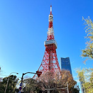 東京の元祖シンボル・東京タワー。120メートルの展望台はもちろん、220メートルの展望台では「トップデッキツアー」を開催しており、さらに美しい東京の街並みを楽しめますよ♪

#東京 #東京タワー #芝公園 #トップデッキツアー #旅田サトシ