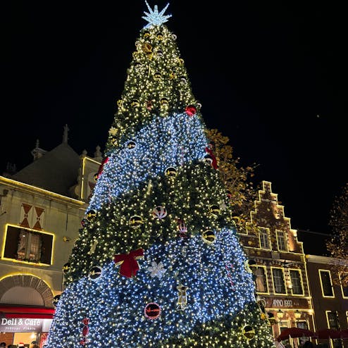 ハウステンボス「光の王国」