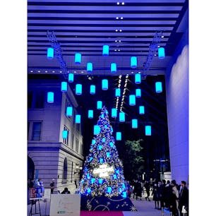 メリークリスマス！
都内で見かけたツリーをいくつか。

・明治安田ヴィレッジ丸の内
・丸ビル
・新宿住友ビル（三角ビル）

#東京
#クリスマス
#イルミネーション