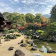 京都市　醍醐寺　三宝院

醍醐寺の本坊的存在の三宝院には、「醍醐の花見」で豊臣秀吉が基本設計をしたとされる、三宝院庭園があります。

通常の拝観料では、庭園を横から見るだけですが、特別拝観では、正面からゆっくりと見ることができます。心落ち着くひとときでした。
