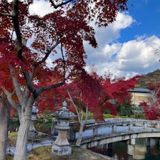 永観堂。京都。