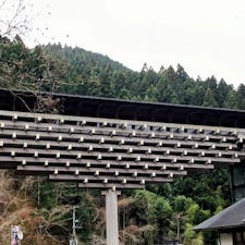 高知　梼原町

雲の上のギャラリー
梼原産の杉を組み上げた
森のような建築物

隈研吾さん設計