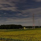 茨城のひまわり畑。
広大な土地一面に広がるひまわり畑
夏らしい光景が広がります！
#茨城 #ひまわり畑 #那珂 #那珂市 #那珂のひまわり畑