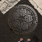 東京のマンホールは桜