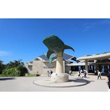 沖縄美ら海水族館🐠🌟