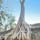 タプローム遺跡。木がタコの足の様に絡まっていて不思議な光景