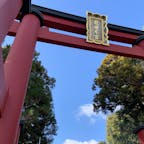 奈良県三郷町　龍田大社

風の神様として古くから親しまれる龍田大社（たつたたいしゃ）に参拝しました。多くの人が初詣に訪れ、賑わっていました。

緑に囲まれた社殿が美しく、ひんやりとした空気も心地よいです。よい「気」がいただけそうです。