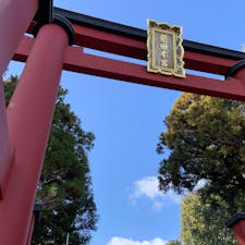 奈良県三郷町　龍田大社

風の神様として古くから親しまれる龍田大社（たつたたいしゃ）に参拝しました。多くの人が初詣に訪れ、賑わっていました。

緑に囲まれた社殿が美しく、ひんやりとした空気も心地よいです。よい「気」がいただけそうです。