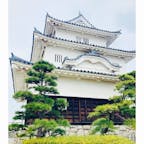 香川
丸亀城

現存12天守のひとつ
流石の石垣
雨だったので
坂道が大変でした。