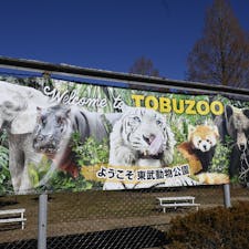 埼玉県にある東武動物公園に行ってきました。
可愛い動物たちがたくさんいる楽しい動物園でした😊
また遊園地と併設されているため
多くの家族で賑わっていました😊