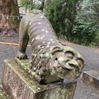 20240103
佐賀

千栗八幡宮　肥前一宮

うちの猫の仕草によく似た狛犬さん

千栗と書いてチリクと読むそうで
3月15日に行われるお粥祭が有名で
お粥に生えたカビで一年を占います

御朱印帳も栗柄でめちゃくちゃ可愛い