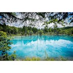 北海道
〜青い池〜
6月に行った美瑛の青い池。